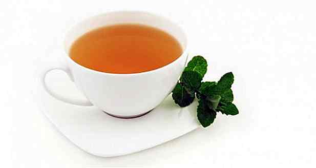 Cómo Hacer Té de Sene - Receta, Beneficios y Consejos