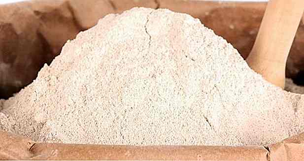 7 Beneficios de la harina de centeno - Cómo hacer, cómo usar y recetas