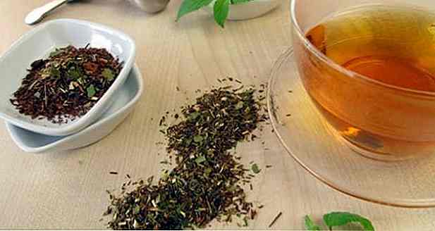 10 beneficii ale ceaiului Mate - pentru care acesta servește și proprietăți