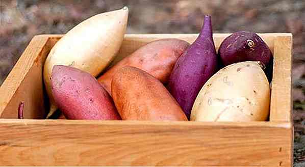 Sweet Potato White sau Purple - Care este mai bine?