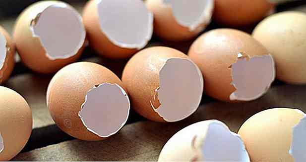 Farina di gusci d'uovo - Vantaggi, modalità e suggerimenti