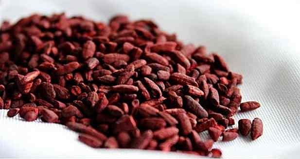 Riso rosso del lievito - Benefici del riso rosso fermentato