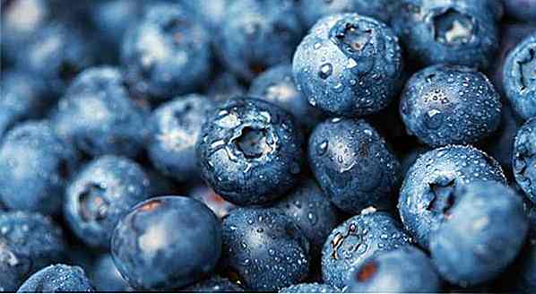 Blueberry (Mirtilo) ¿Adelance?  ¿Qué es, Beneficios y Consejos