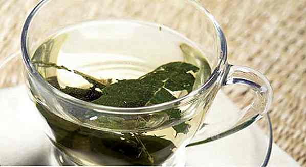 Comment faire du thé de Thorn Thorn - Recette, avantages et astuces
