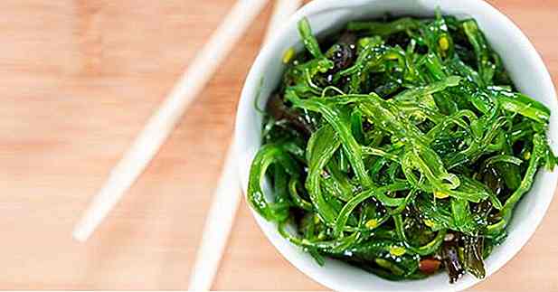 Algas Marinas Seaweed - Beneficios para adelgazar y salud