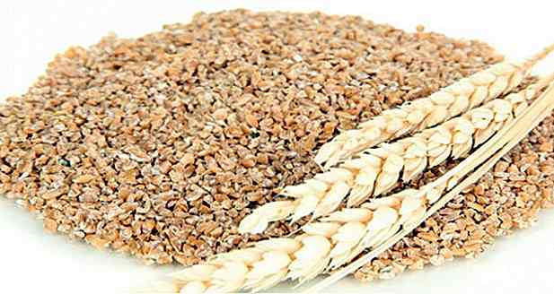 Germe di grano ingrassato o magro?  A cosa serve?