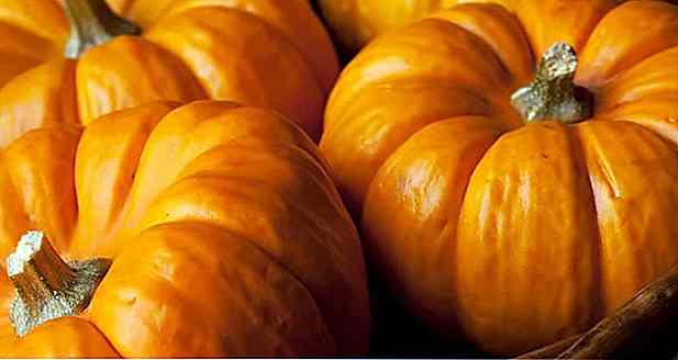 Pumpkin Fatten o perde peso?