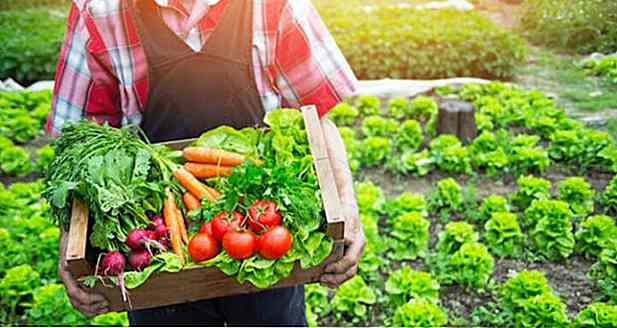 Alimentos Orgánicos - Qué son, Beneficios, Tipos y Consejos