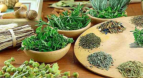 7 hierbas medicinales para adelgazar