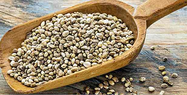7 Vantaggi del seme di canapa - Che cosa è, ricette e suggerimenti