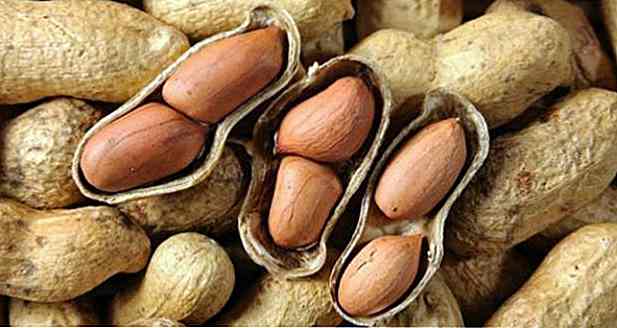 Kalorien in Erdnüssen - Arten, Portionen und Tipps