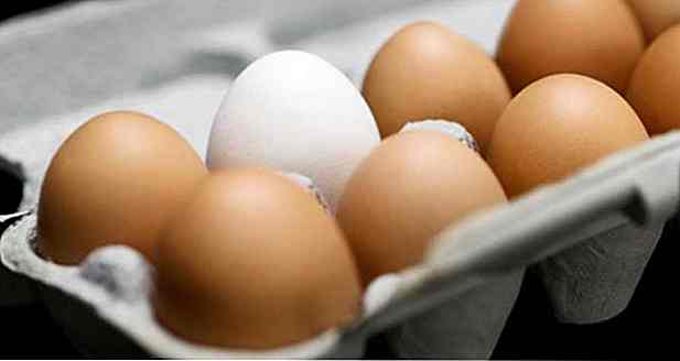Calorías del huevo - Cocinado, Frito, Mexido, Codorniza y Más