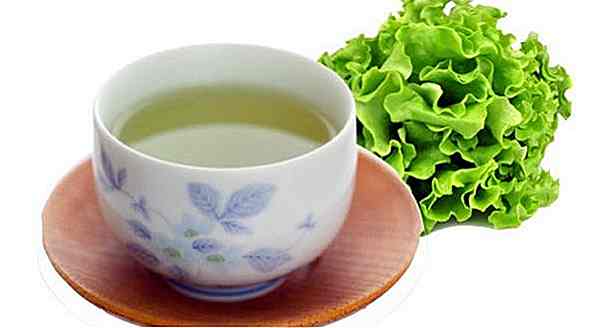 Wie man Kopfsalat-Tee - Rezept, Nutzen und Spitzen bildet