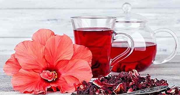 Thé d'hibiscus - Pour ce qu'il sert, avantages, comment prendre et propriétés