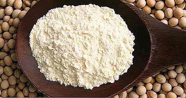 5 Beneficios de la harina de soja - Cómo hacer, cómo utilizar y recetas