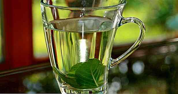 Ceaiul din Guaçatonga Emagrece?  Pentru ce este, beneficiile și indicațiile
