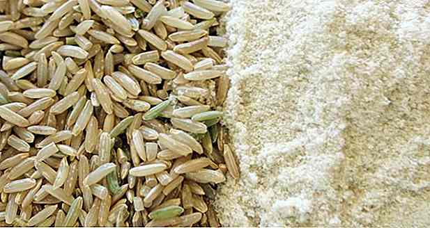 7 avantages de la farine de blé entier - Comment faire, comment utiliser et recettes