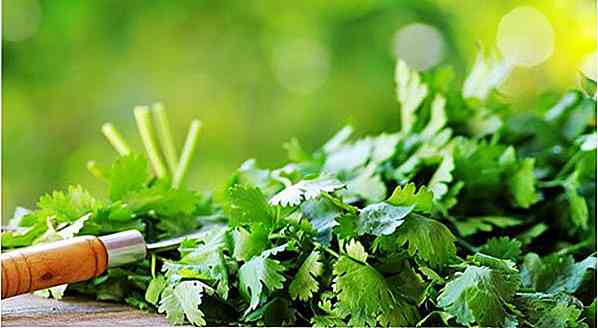 18 Beneficios del cilantro - para qué sirve y propiedades