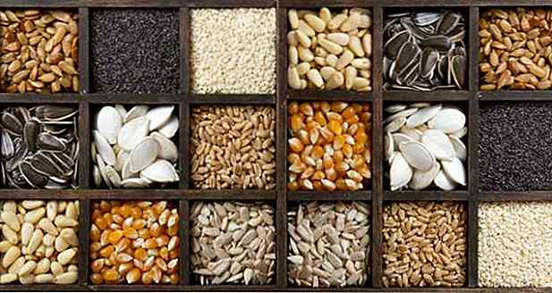 Semillas Comestibles - Tipos, Beneficios, Cómo Usar y Recetas