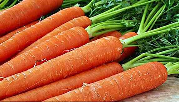 10 alimenti ricchi in beta carotene