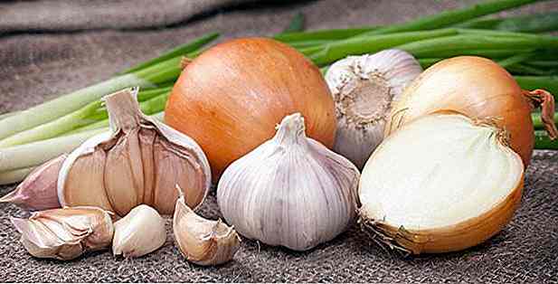 Knoblauch und Zwiebel für die Gesundheit - Vorteile und Tipps