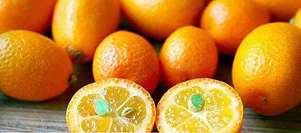 22 Beneficios de la Naranja Kinkan para Buena Forma y Salud