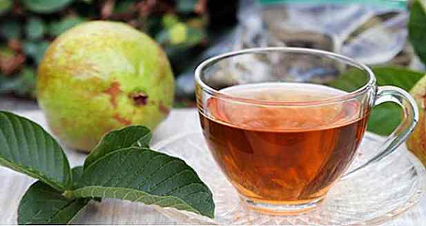 Tee des Guaven-Blattes - Rezept, wie man und Tipps