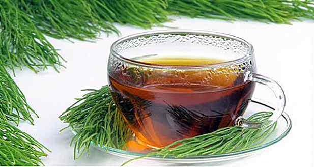 Come preparare il tè all'equiseto - Ricetta, vantaggi e suggerimenti