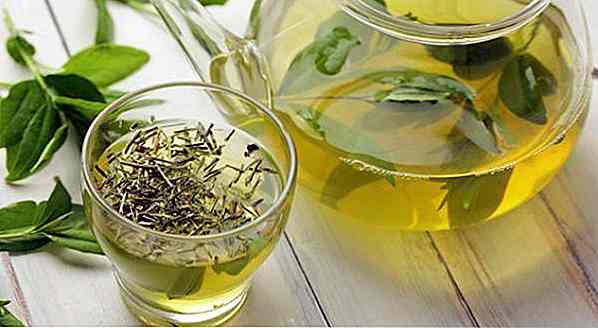 Come fare il tè Losna - Ricetta, vantaggi e suggerimenti