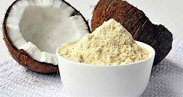 6 Benefici della farina di cocco - Come fare, come usare e ricette