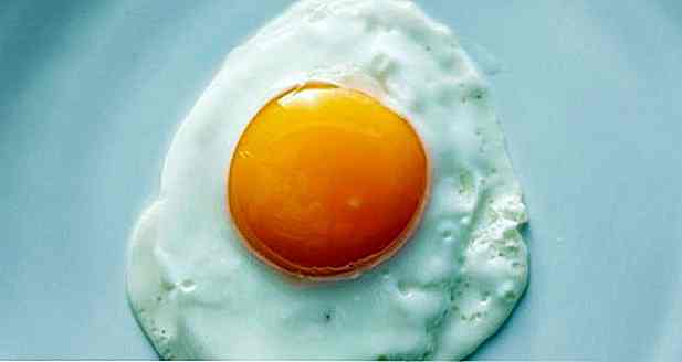 ¿El huevo hace mal para Gastritis?