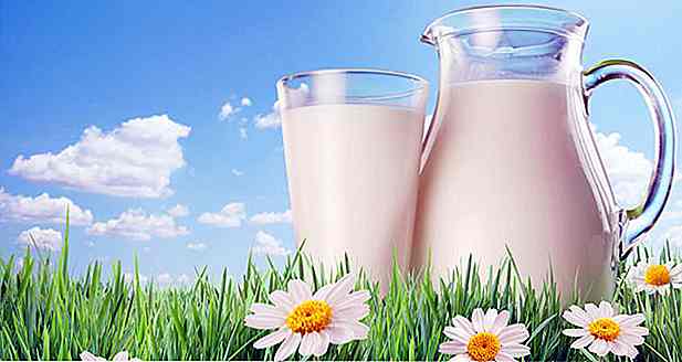 Lapte ideal pentru diete cu conținut scăzut de carbohidrați - sfaturi și rețete