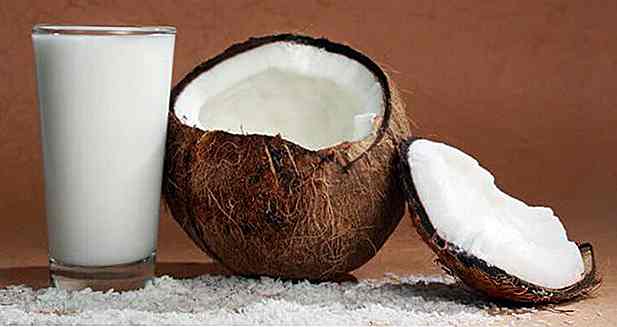 10 ricette con latte di cocco a basso contenuto di carboidrati