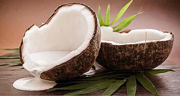 Todo sobre la Leche de Coco - Beneficios, Cómo hacer, Dónde encontrar, recetas y consejos