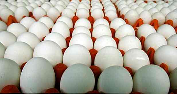 ¿Comer el huevo cada día hace mal?