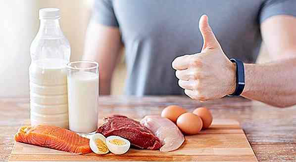 Dieta de la Proteína Funciona Incluso?