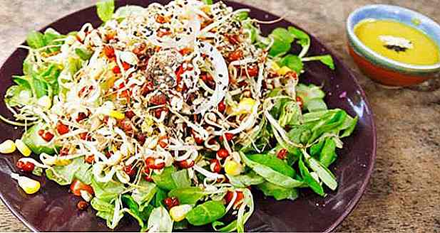 10 Rețete de salată de germeni de fasole