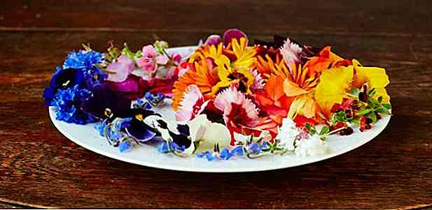 Flori comestibile - tipuri, cum să alegeți, cum să utilizați și rețete