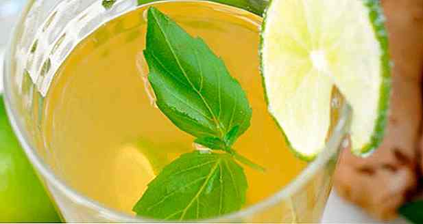 8 Recetas de jugo de limón con jengibre - Beneficios y cómo hacer
