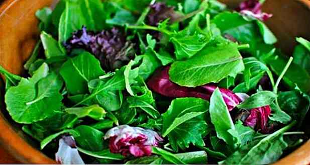 10 ricette insalata di foglie