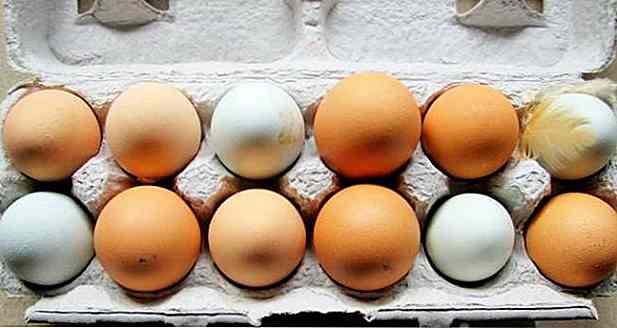 6 Gründe, mehr Ei zu essen