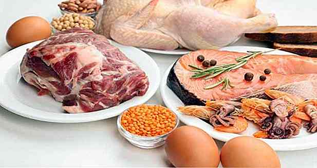 Dieta de la Proteína ¿Incluso adelgaza?