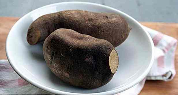 8 ricette Yacon Light Potato