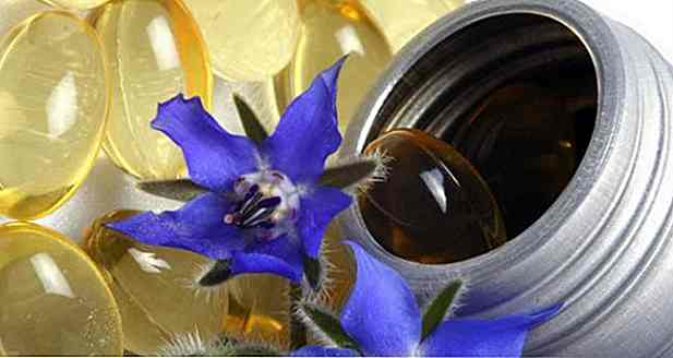 Borretschöl - für was es dient, Vorteile, Nebenwirkungen und wie man es nimmt