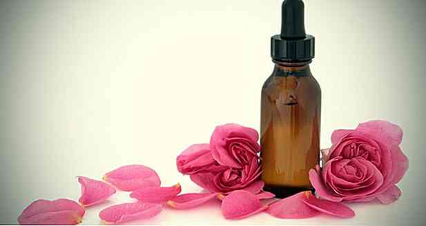 Aceite de Rosa Mosqueta - Qué es, para qué sirve, Beneficios y consejos