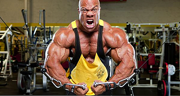 Bodybuilder Phil Heath - dieta, formazione, misure, foto e video
