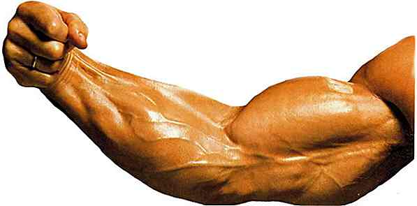 Cum de a crește vascularizarea musculară