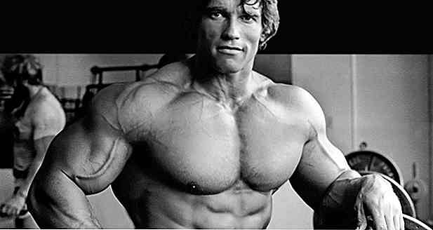 Arnold Schwarzenegger - Dieta, instruire, măsurători, fotografii și videoclipuri