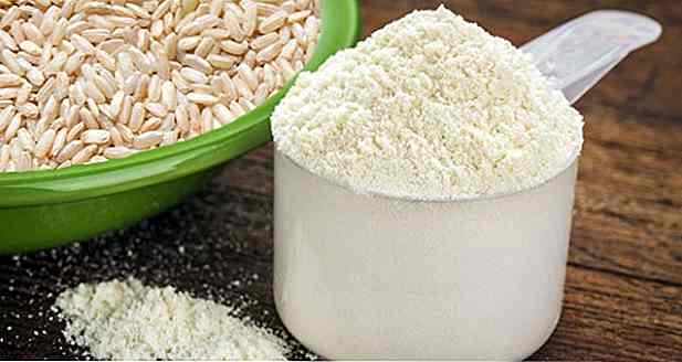 Proteinele de orez sunt bune?  Beneficii și proprietăți
