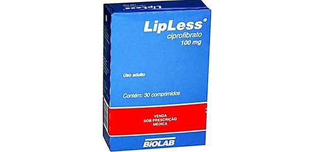 Are Lipless Really Slim?